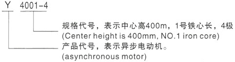 西安泰富西玛Y系列(H355-1000)高压龙山三相异步电机型号说明